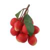 Fake Artificial Fruit Fruits Kitchen Photography Props