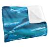 Royce McClure Silky Dolphin Race Supersoft Blanket