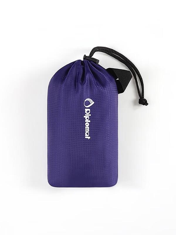 Diplomat Portable Folding Backpack