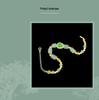 Exquisite Green Gourd Jade Bracelet - Chinese Style, Light Luxury, Gold-Plated Beads, Long-Lasting Color