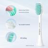 Philips HX2431/06 Electric Sonic Toothbrush CN Plug (adapter Included)