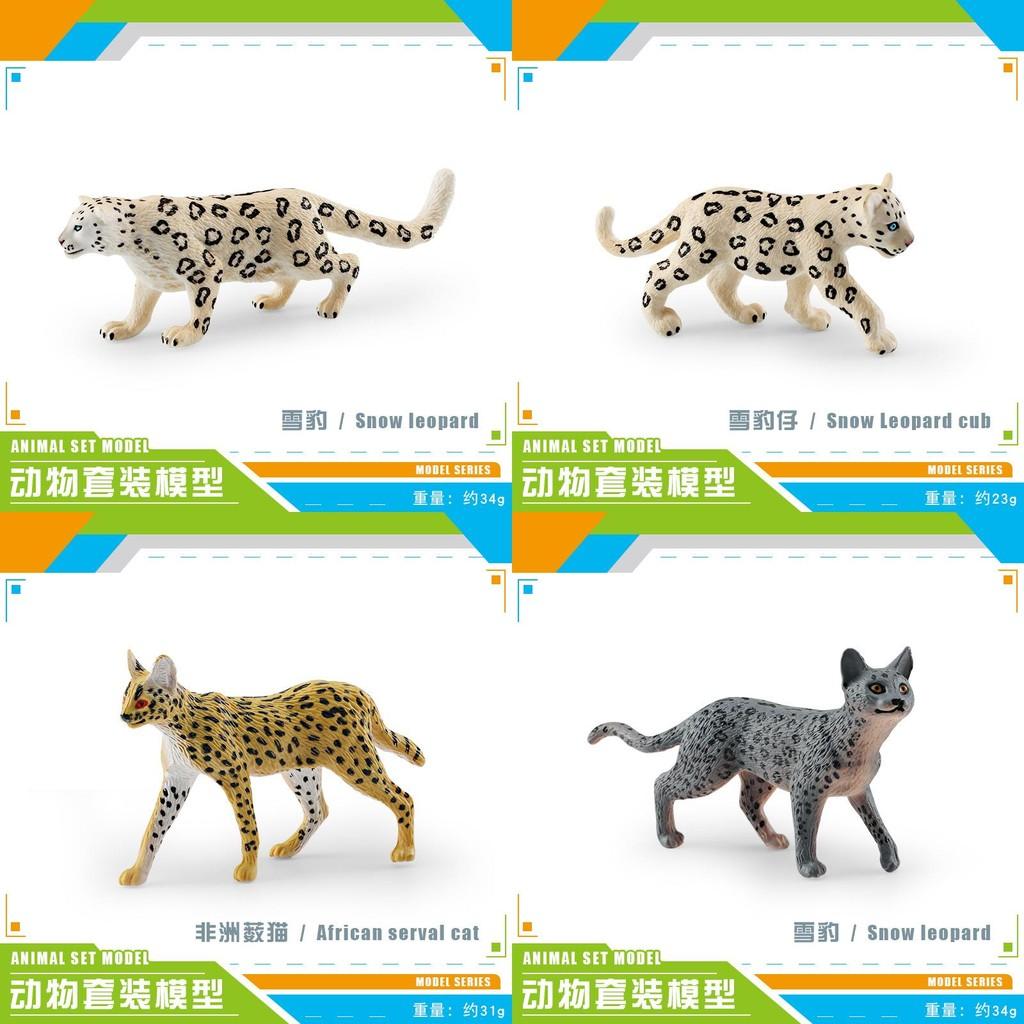 Lifelike Snow Leopard And African Wildcat Model Static Figure For Home Decoration