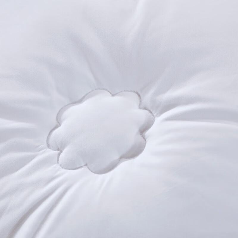 Fuanna Healthy Sleep Antibacterial Brushed Fiber Quilt