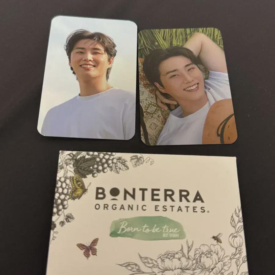 DAY6 Young K Bontera Photo Card Photocard