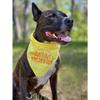 Plus Size Pet Triangle Bandana, Summer Series Dog Drool Bib, Letter & Sun Graphic Cat & Dog Scarf