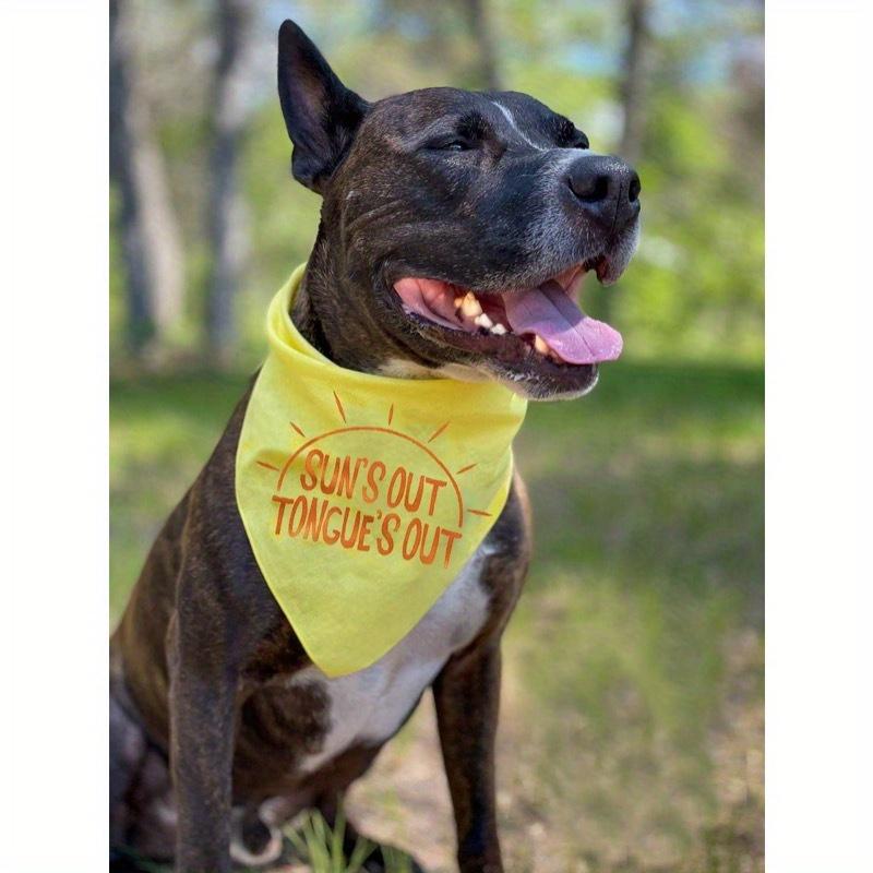 

Бандана-треугольник для питомца большого размера, Летняя серия, Слюнявчик для собаки, Шарф для кошки и собаки с графикой букв и солнца M разноцветный