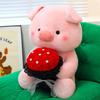 Valentine's Day Bouquet Piggy Doll Children Hug Pig Large Plush Doll Wedding Press Doll Girl Gift