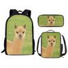 Classico Divertente Animale Panda Stampa 3D 3pz/Set Zainetti Scolastici per Bambini Zaino per Laptop Zaino Giornaliero Borsa Pranzo Astuccio