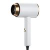 High Power Blue Light Negative Ion Hair Dryer for Home or Dorm