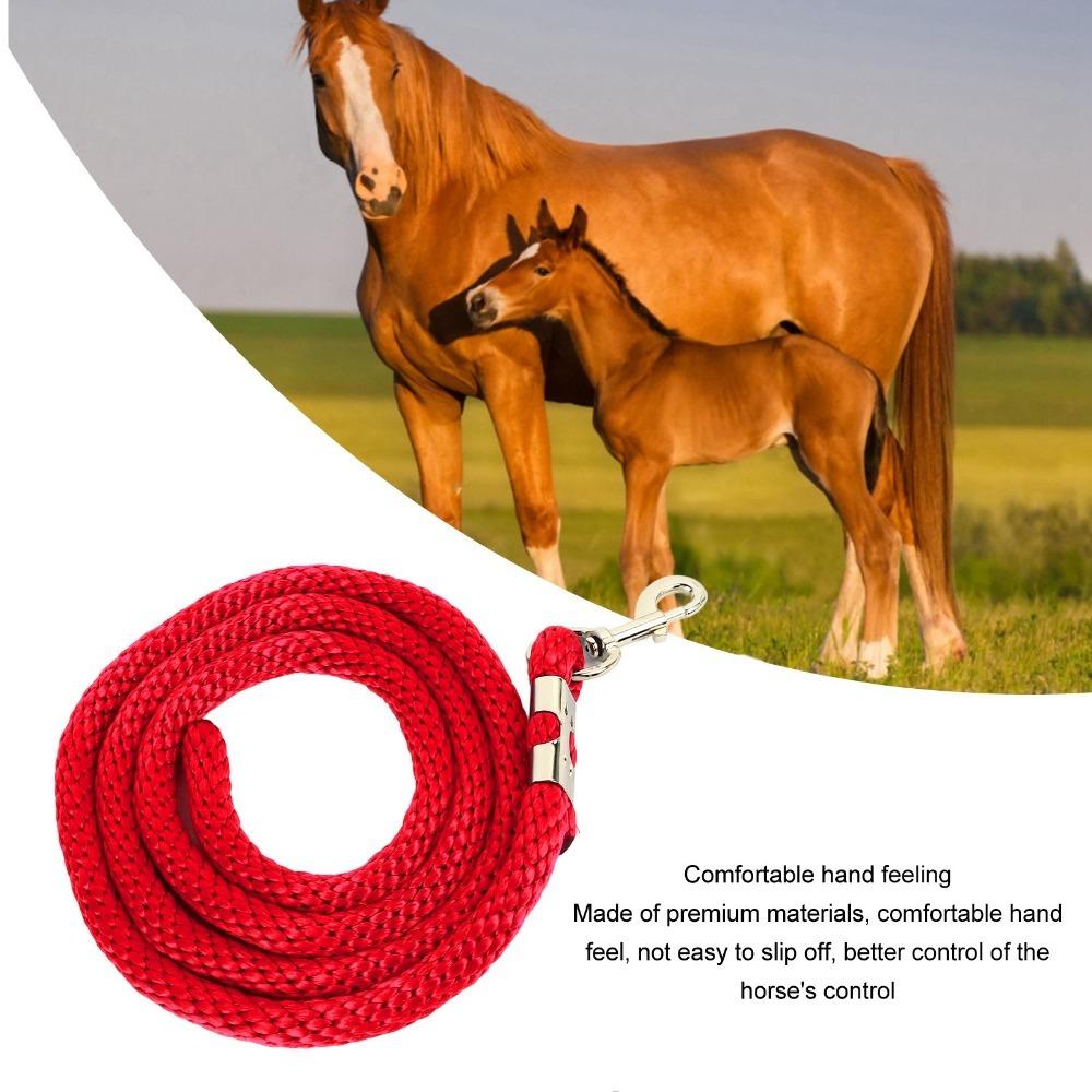 High Tensile Horse Lunge Line Heavy Duty Horse Web Lunge Line Horse Training Rope Daily Traction
