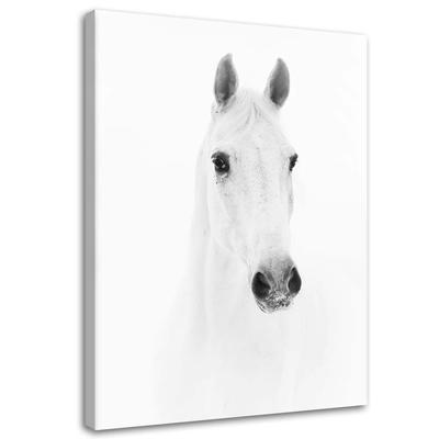 Cuadro, Caballo gris