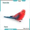 Cross-border Bird Model: Children's Budgerigar & Cockatiel Desktop Decor
