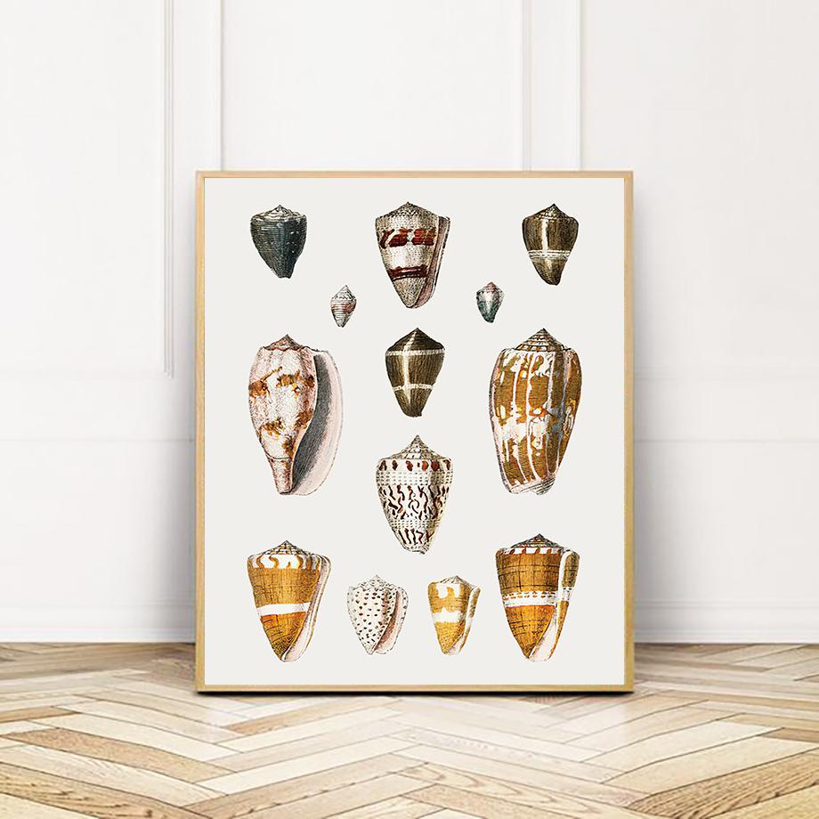 Vintage Marine Life Shrimp Shells Wall Art Poster Canvas Decorative Printing Art Prints Nordic Mural Living Room Home Decoration