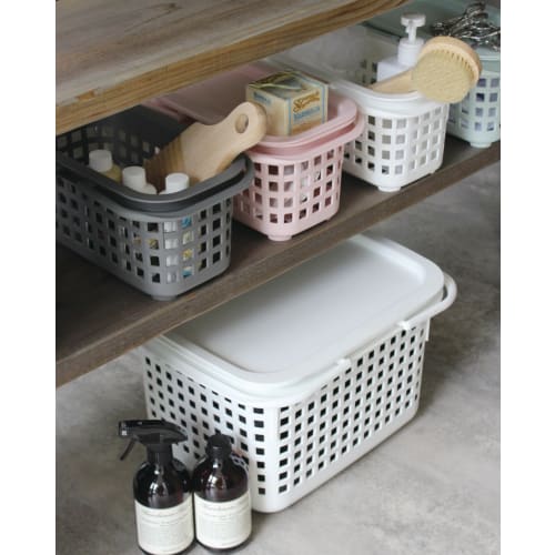 Hachimankasei Sceltevie Cestino Cavaccio RD S 238164