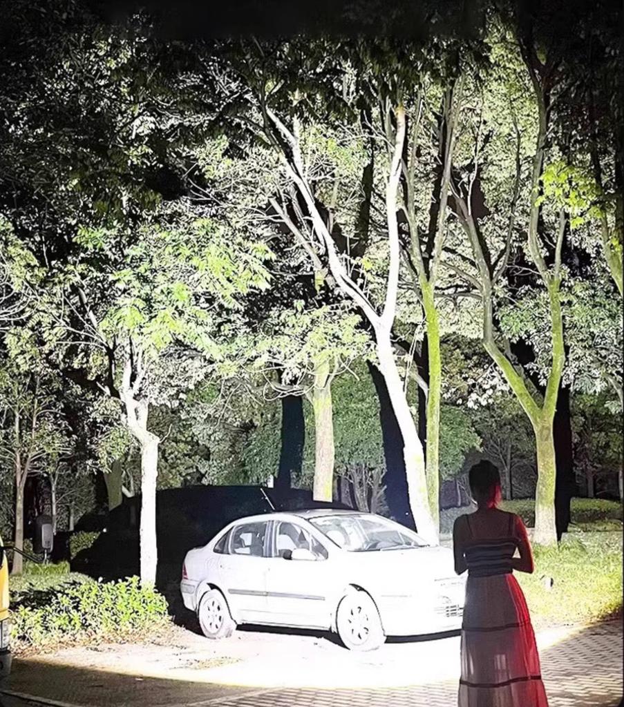 Powerful LED COB 7 Lighting Ultra USB IPX7 Handheld Compatible with 3 Types of Battery Level Night Power Disaster Earthquake Nighttime Work Japanese