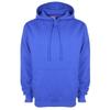 FDM Unisex Plain Original Hooded Sweatshirt / Hoodie (300 GSM)