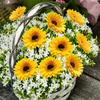 10pcs Garden Stakes Decoration Sunflower Yard Stakes Lawn Pathway Ornaments Waterproof Flower Pot Stick Indoor Outdoor