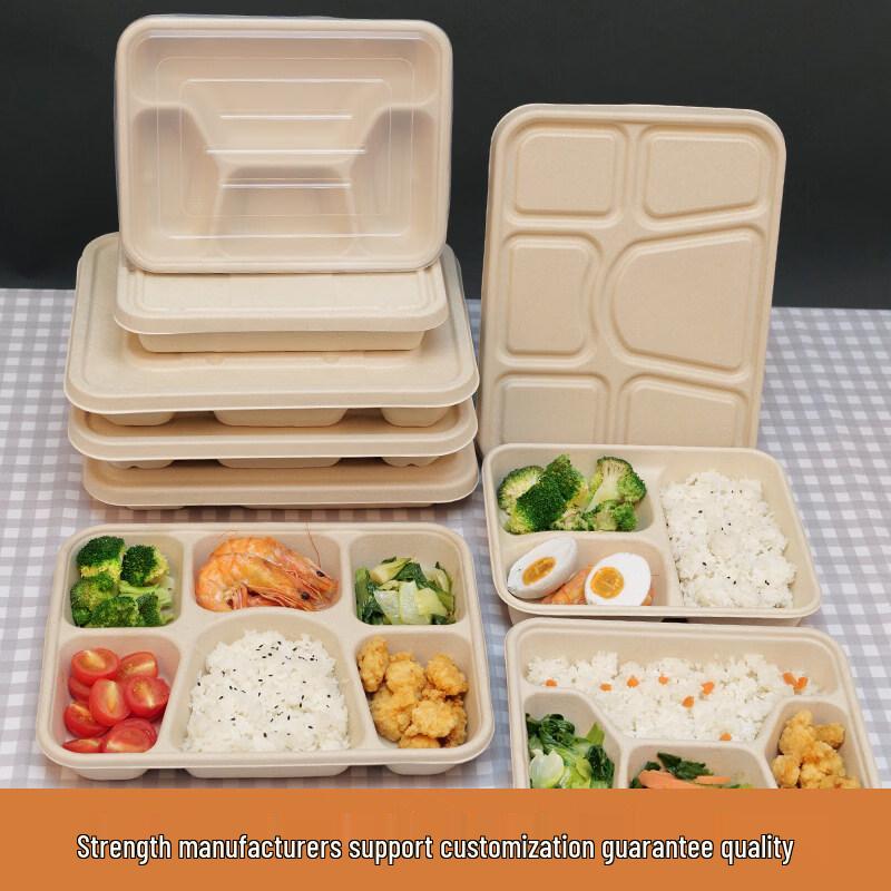 ZISIZ Disposable Lunch Box for Primary Students
