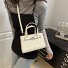 Today's popular atmospheric fashion handbag spring new texture niche shoulder messenger bag commuter women's bag