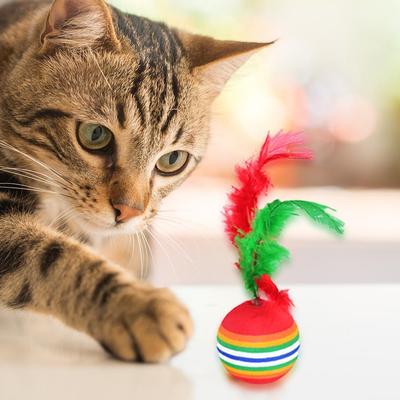 12pcs Cats Activity Toys Funny Colored Rainbow Soft Light and Non-toxic Super Cute Beautiful Toy Balls with Feather for Kitten