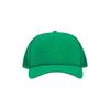 Arcteryx Archaeopteryx Bird Trucker Polyester Peaked Cap Men and Women Same Style Couple Model Jungle Green F - No Box