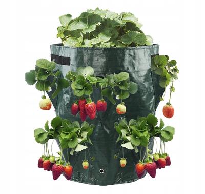 Tuinpotten en -dozen – Kweektassen