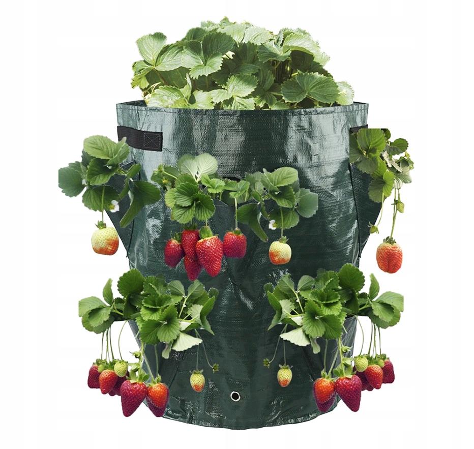 Flowerpot Cascade Bag Bag Vegetables Hanging Strawberries Strawberries Pockets