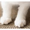 Cat Scratching Board Claw Grinder Corrugated Paper Cat Scratcher Wear-resistant Climbing Cat Scraper Protecting Claw