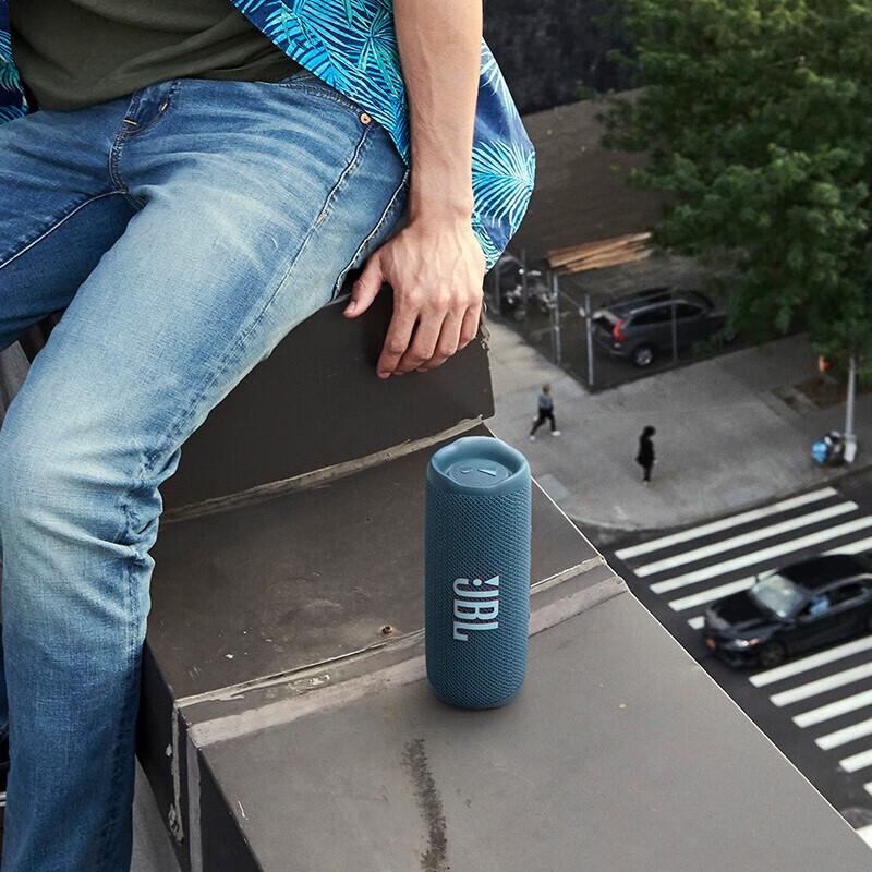 JBL Flip 6 Portable Bluetooth Speaker