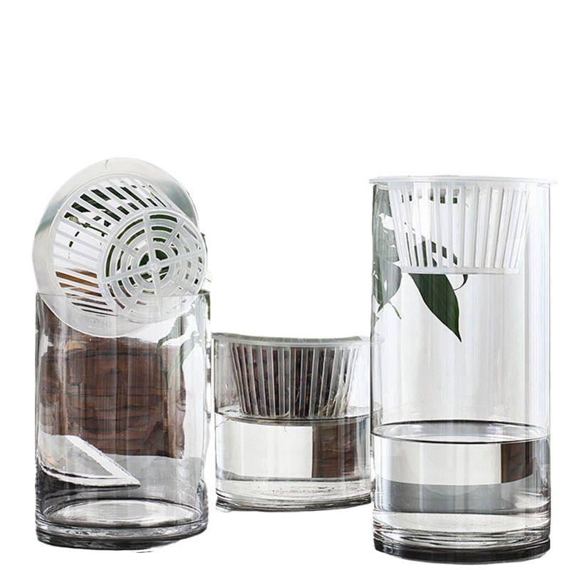 Hydroponic Glass Cylinder Vase for Pothos & Peace Lily - Transparent Water Culture Container with Free Shipping.