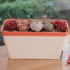 Plant Pot Self Watering Rectangle Modern Double Layer Flower Planter Durable Fade-resistant Water Level Visible Planter Box