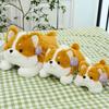 Cute Party Husky Rag Doll Shiba Inu Doll Corgi Doll Children Boys and Girls Play with Birthday Gifts