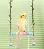 Parrot Swing with Bell Pet Play Perch Hammock Stand for Cockatiels Parakeets Lovebirds Budgies Canaries Finches