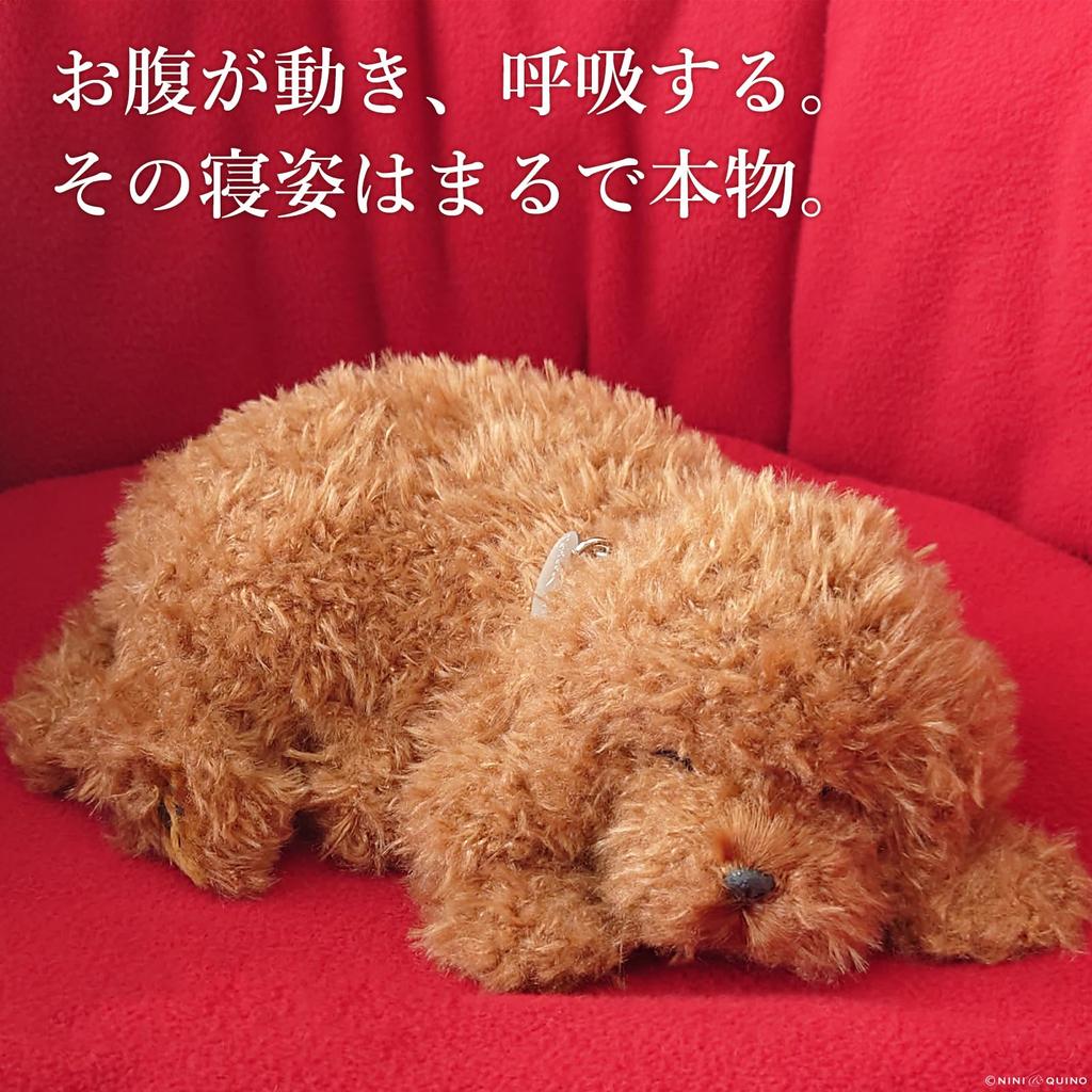 Ninian and Kino Perfect Pet (Small Size) Toy Poodle Plush Toy Dog Realistic Look-alike Goods Animal Healing Moving Present Gift Celebration Cute Dog