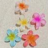 Bauhinia and Plumeria Temperament Hair Clip - European & American Style