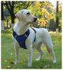 Reflective Anti-Shock Dog Harness with Leash, Oxford Cloth, for Large Dogs