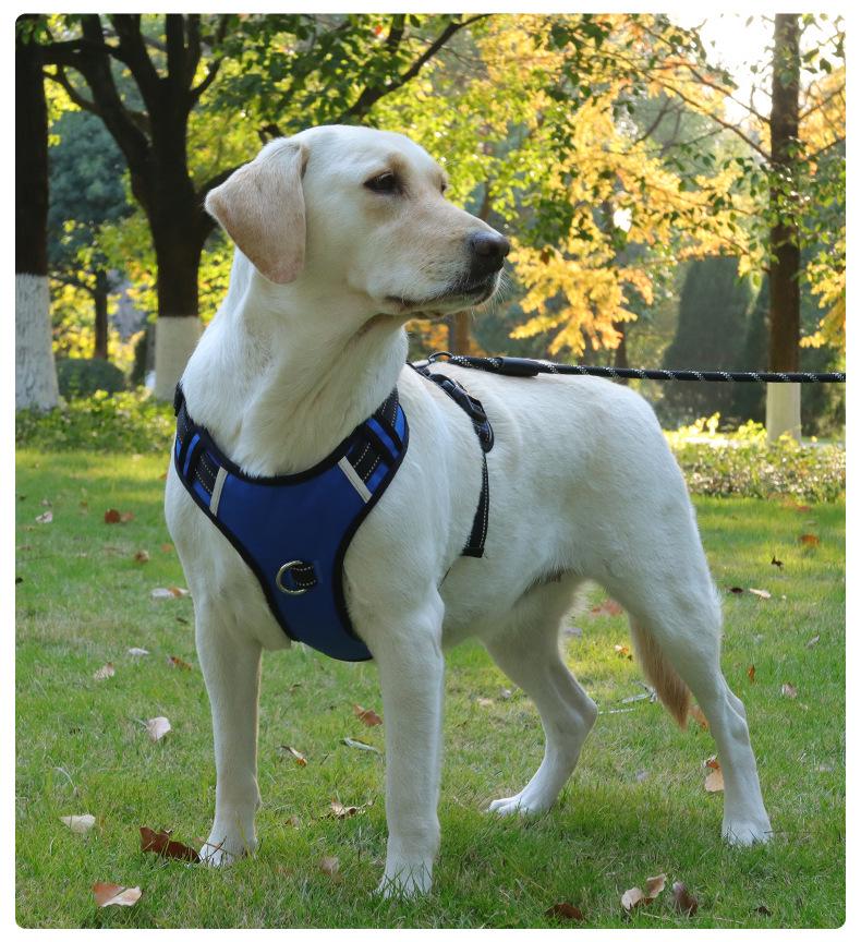 Reflective Anti-Shock Dog Harness with Leash, Oxford Cloth, for Large Dogs