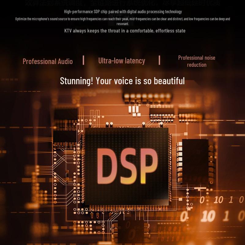 Wireless Dual-Mode Performance Microphone for Stage, Outdoor, and KTV Singing