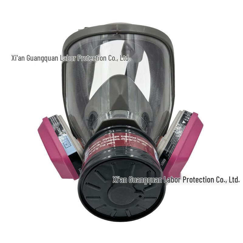 SANSHENG Full-Face Respirator Mask Standard