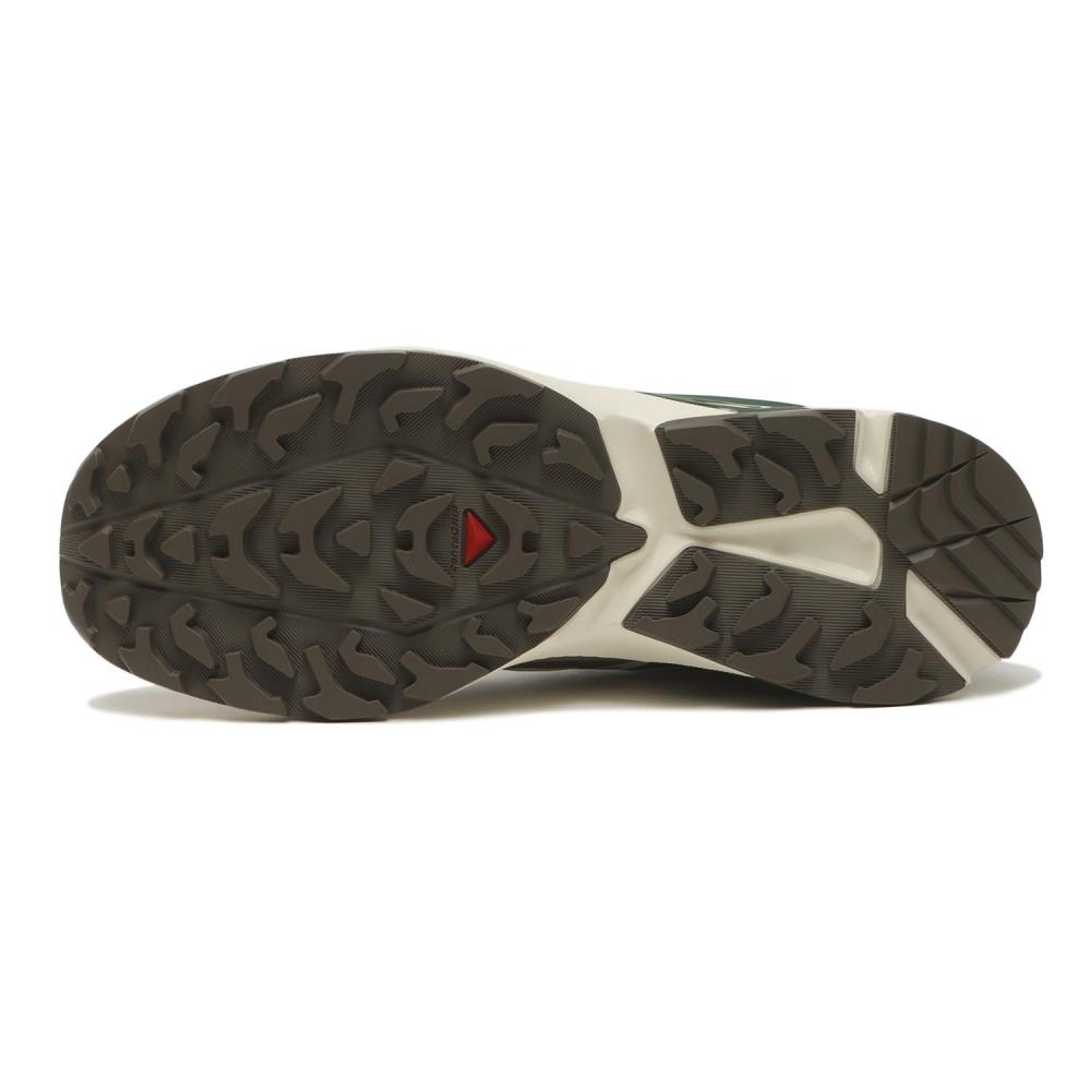 SALOMON Xt Evr M L47917600 Vanilla Ice Rai