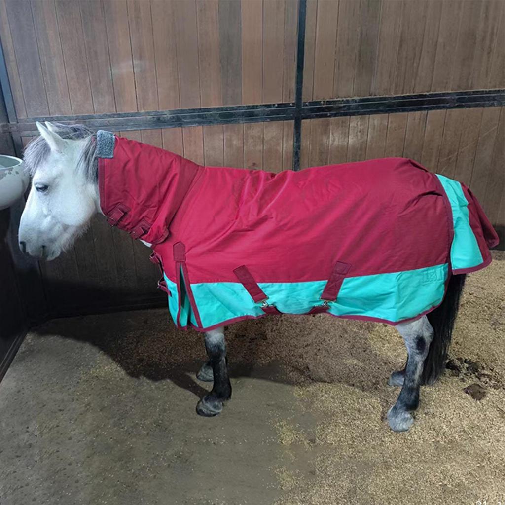 Häst Vinter Utomhustäcke 600D Oxford med Huva Hållbar Vattentät Ridning