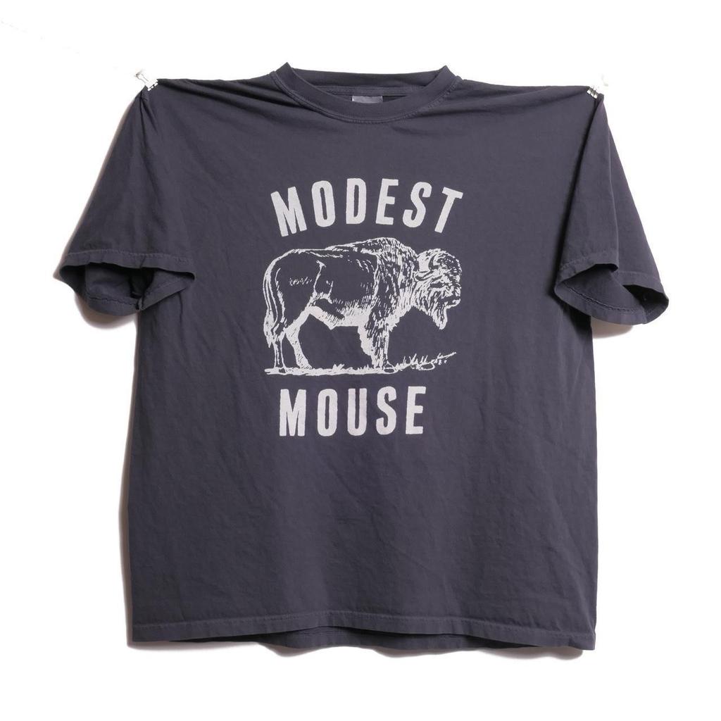 Modest Mouse Indie Alternative Rock Buffalo Band Tee Shirt AN61597