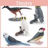 Pvc Bird Animal Models Collection Withmagpie Parrots And Owl For Garden Landscaping And Home Decor