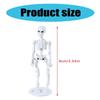Articulated Tiny Human Skeleton Replicas, 9cm White Skull Model, Human Skeleton Model for Halloween Display Craft Toy