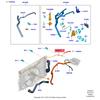 BV618C012DD Tubo di ritorno serbatoio acqua Tubo radiatore Tubo acqua Ford Kuga 2013-2016 1.6T