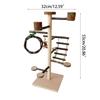 Bird Toy Parrot Gym Stand Birdcages Standing Swing Small Medium Bird Cage Climbing Ladder Perches for Parrot Conures