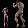 In Stock Attack On Titan Amazing Yamaguchi Revoltech Nr068 Female Titan Annie Leonhart Figure Gk Collection Model Toy Gift