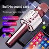 Wireless Bluetooth Mobile Microphone & Speaker for Home Karaoke with Built-in Sound Card