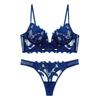 Women Lace Lingerie Set Elegant Sexy Bra Set See Through Underwear Ventilate Ladies Bra and Panty Set
