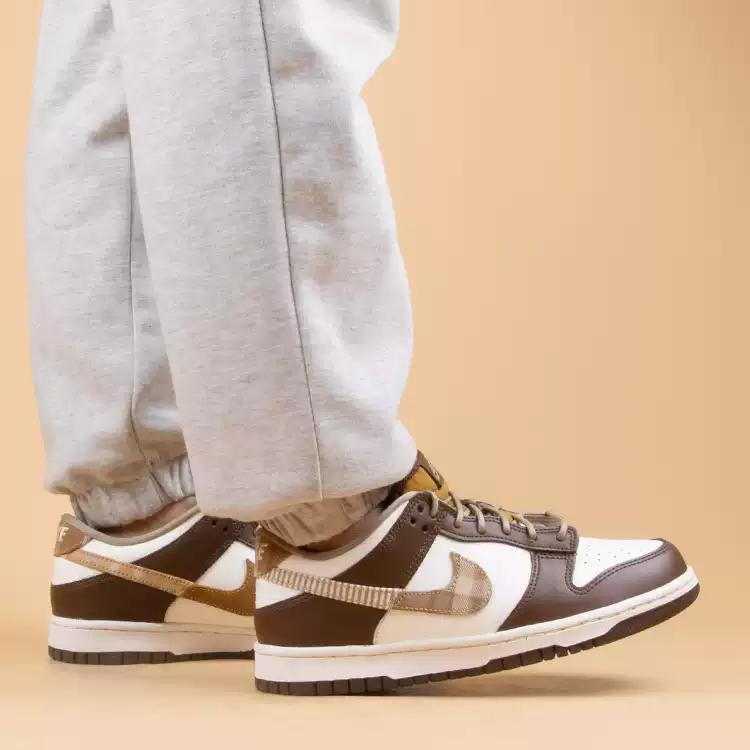 Nike Dunk Low 'Brown Plaid' GS FV3653-191